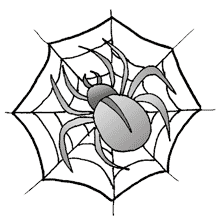 spider.png
